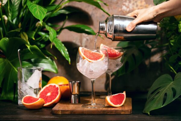 Quels jus de fruits se mélange avec du gin pour faire un cocktail ?